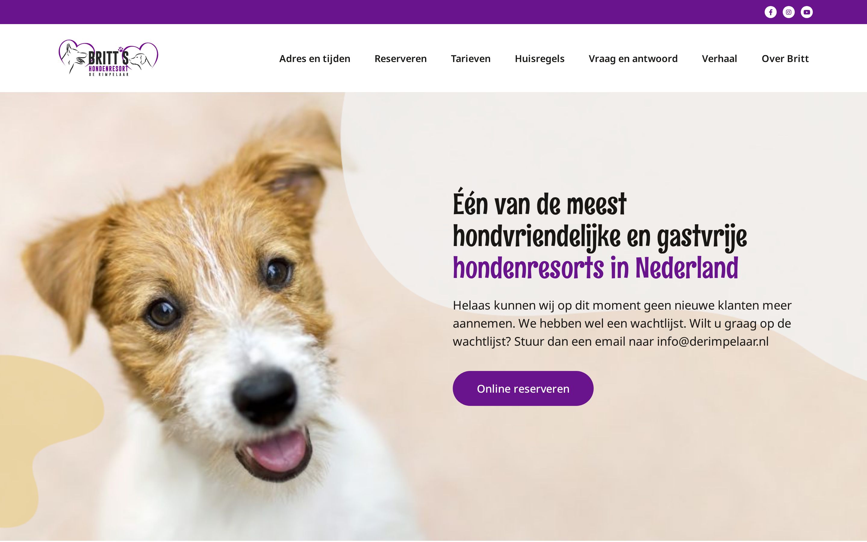 Website Britt's Hondenresort de Rimpelaar — desktop
